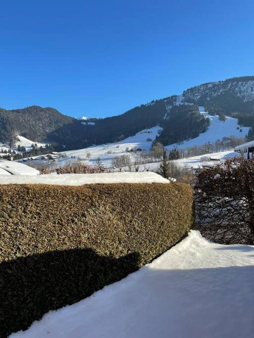 Charmant Studio + Jardin Vue Pistes Et Local Velo Praz-sur-Arly Bagian luar foto