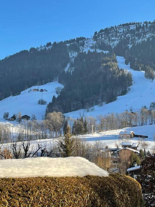 Charmant Studio + Jardin Vue Pistes Et Local Velo Praz-sur-Arly Bagian luar foto